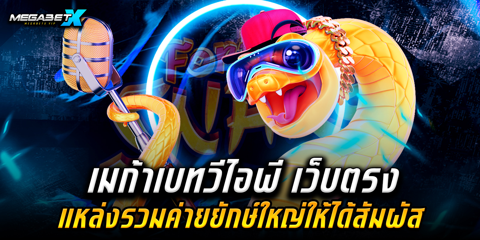 เมก้าเบทวีไอพี